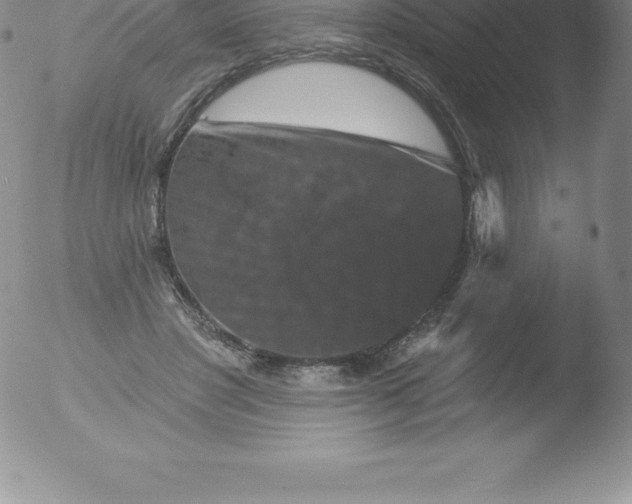 X0000051890501200507081942