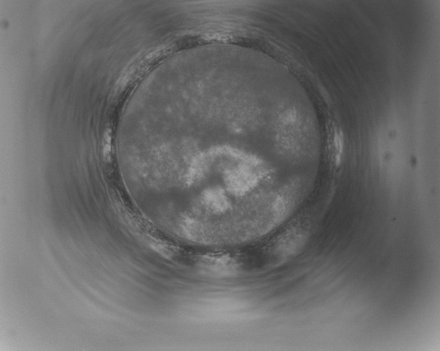 X0000051890502200507081942