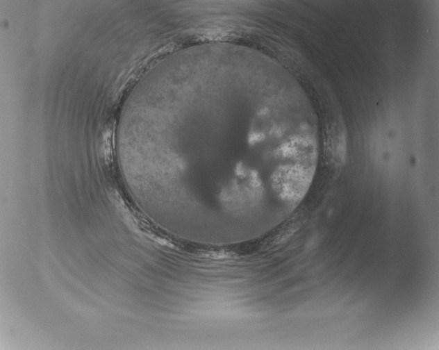 X0000051890503200507081942