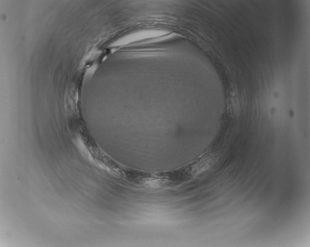 X0000051890504200507081942