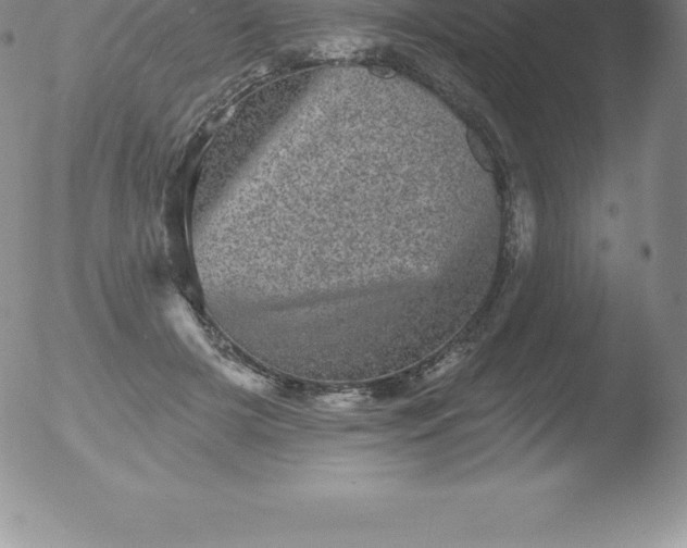 X0000051890505200507081942