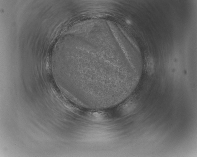 X0000051890506200507081942