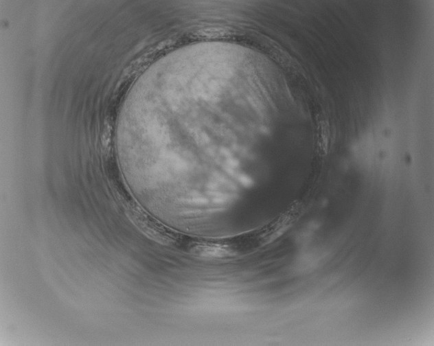 X0000051890507200507081942