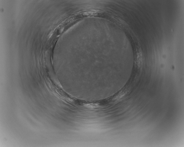 X0000051890508200507081942