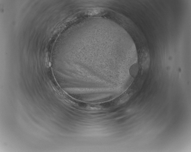 X0000051890510200507081942