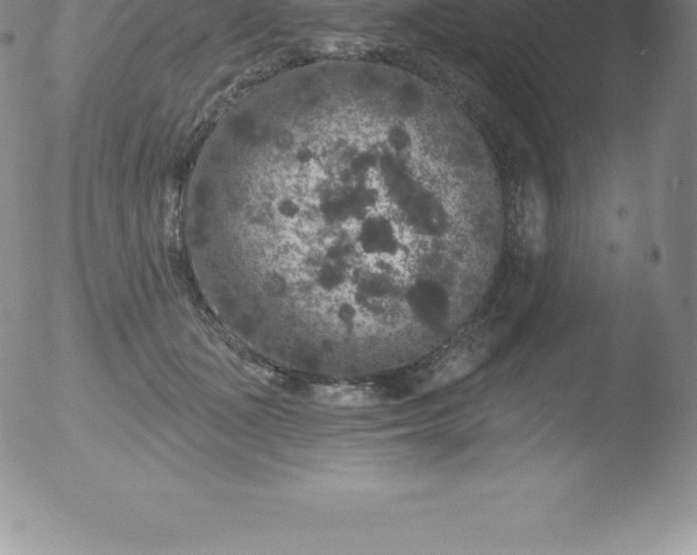 X0000051890511200507081942