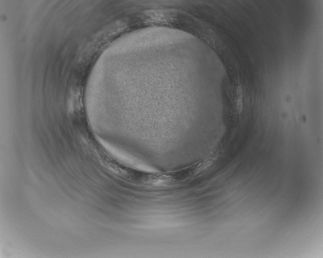 X0000051890514200507081942