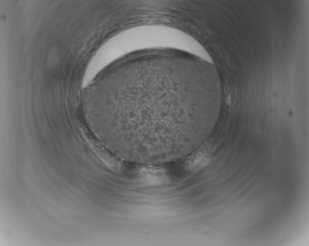 X0000051890515200507081942