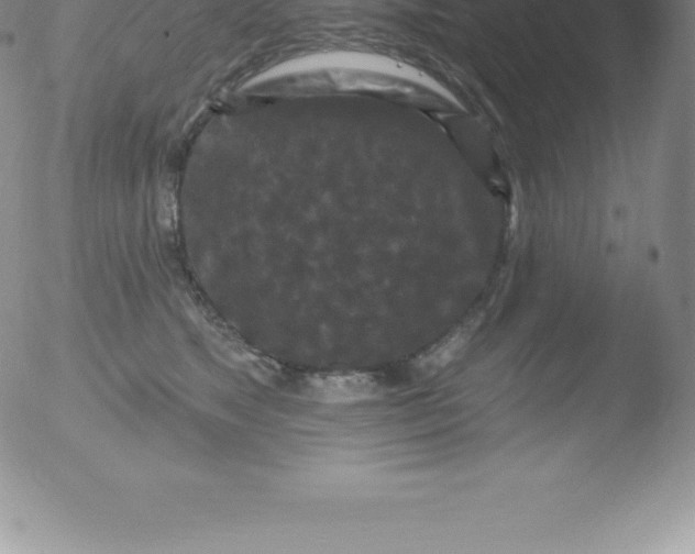 X0000051890517200507081942