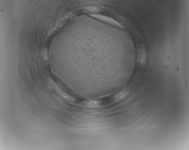 X0000051890518200507081942