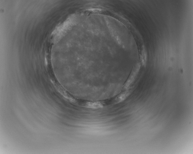 X0000051890520200507081942