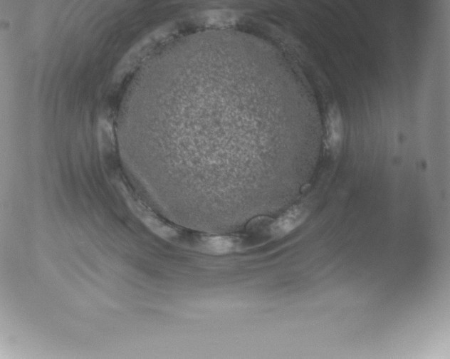 X0000051890522200507081942