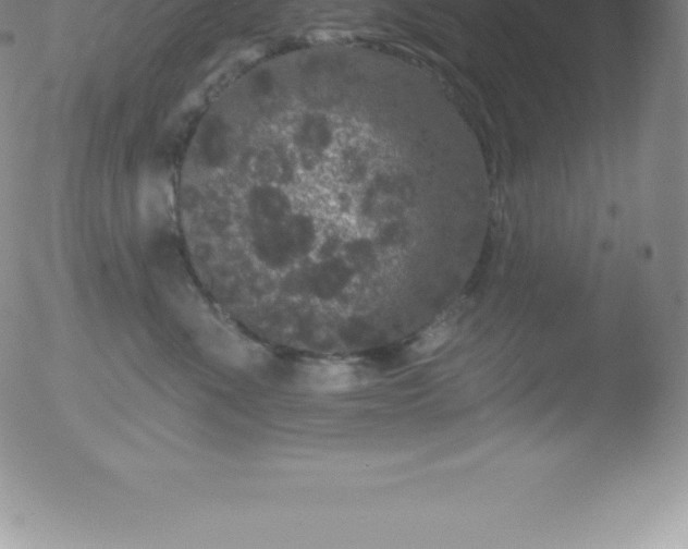 X0000051890523200507081942