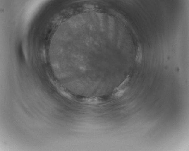 X0000051890524200507081942