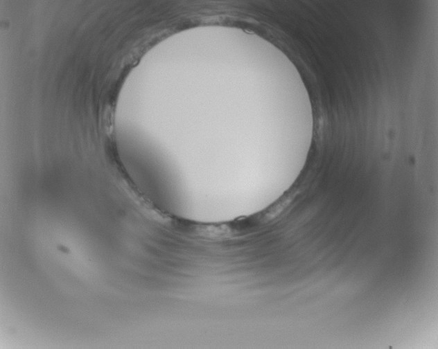 X0000051890525200507081942