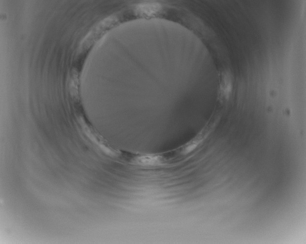 X0000051890526200507081942