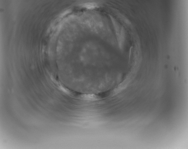 X0000051890528200507081942