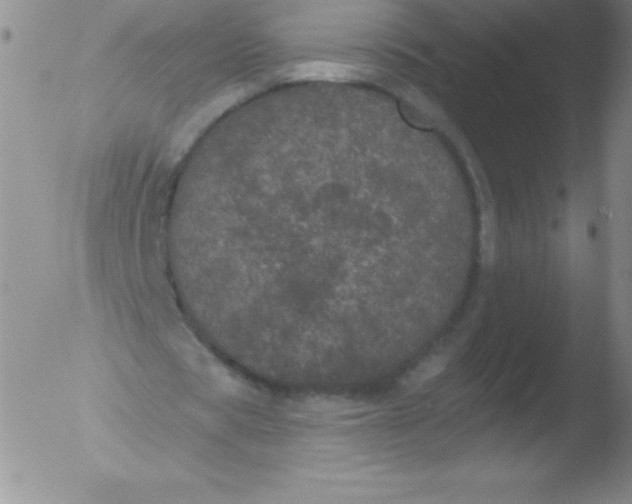 X0000051890529200507081941