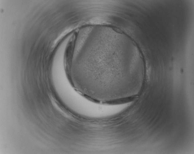 X0000051890530200507081941