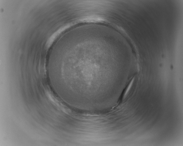 X0000051890531200507081941