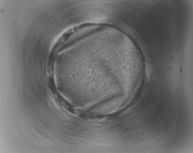 X0000051890532200507081941