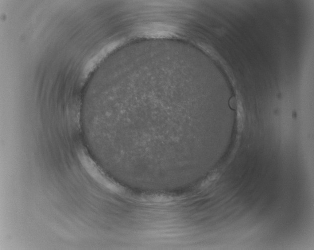 X0000051890533200507081941