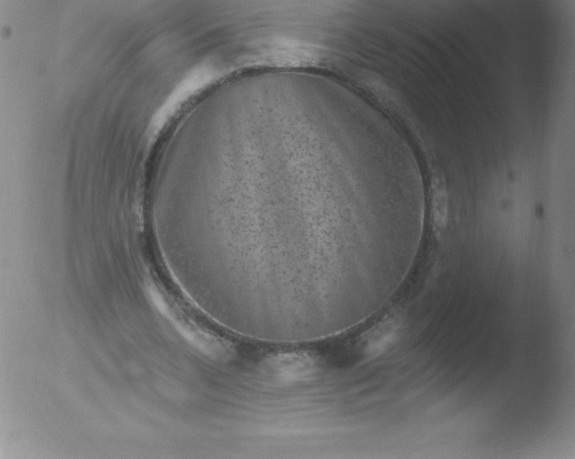 X0000051890536200507081941