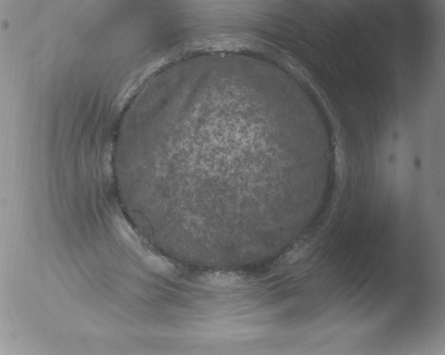 X0000051890537200507081941