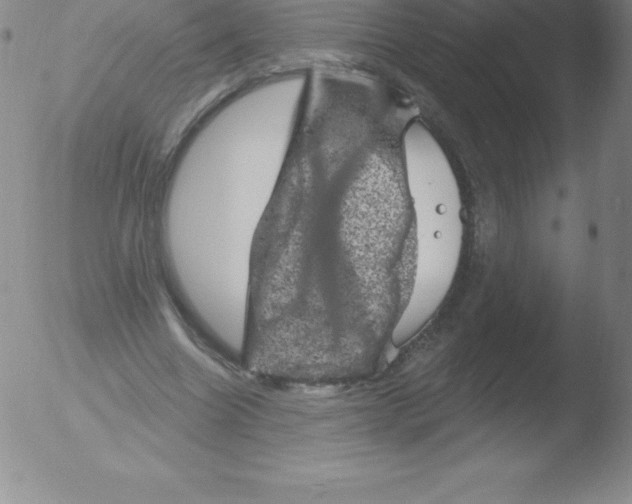 X0000051890538200507081941