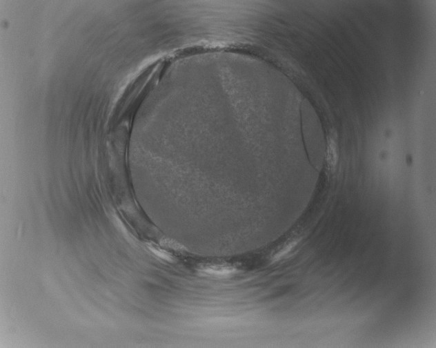 X0000051890540200507081941