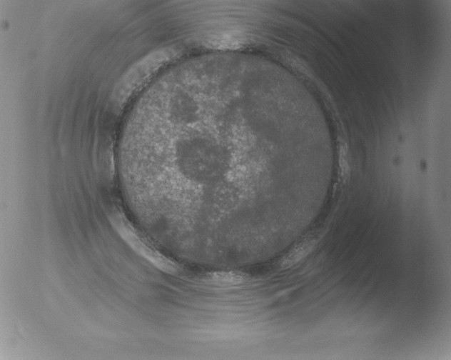 X0000051890541200507081941