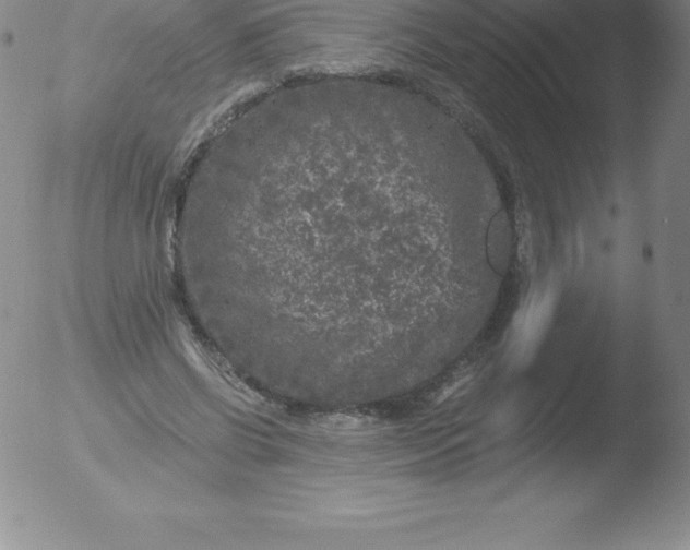 X0000051890542200507081941