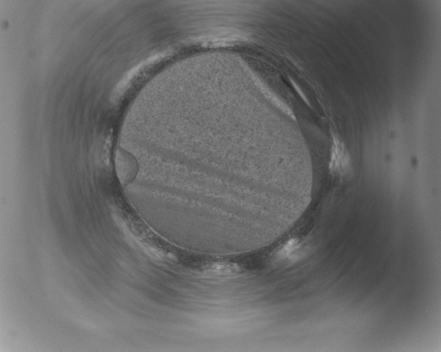 X0000051890543200507081941