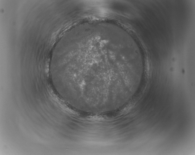 X0000051890545200507081941