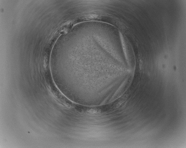 X0000051890546200507081941