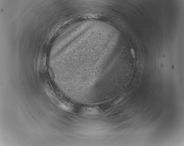 X0000051890548200507081941