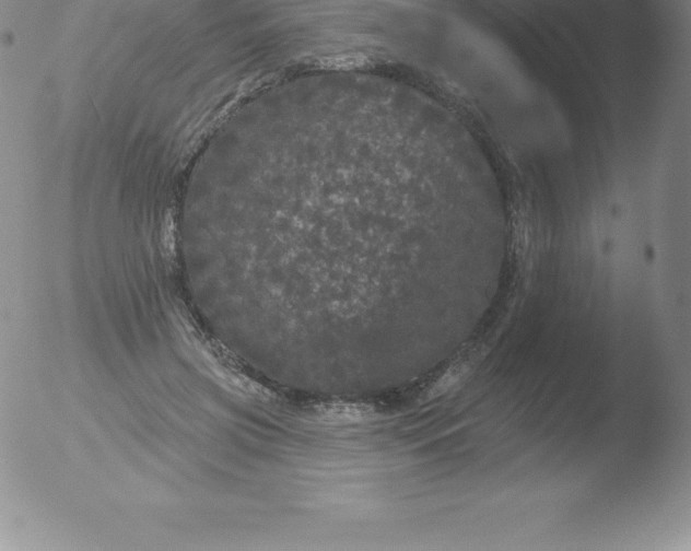 X0000051890549200507081941