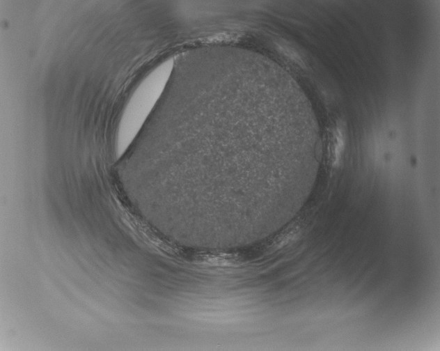 X0000051890550200507081941