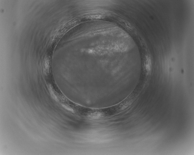 X0000051890551200507081941