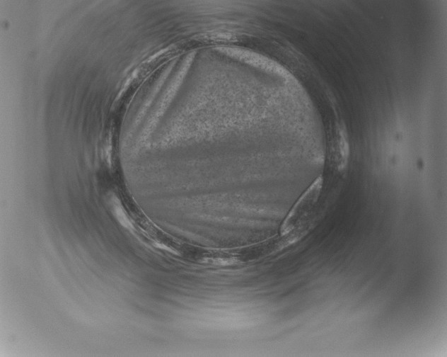 X0000051890552200507081941