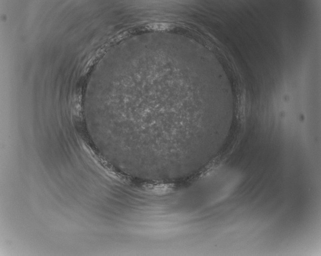 X0000051890553200507081941