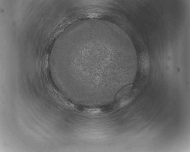 X0000051890554200507081941