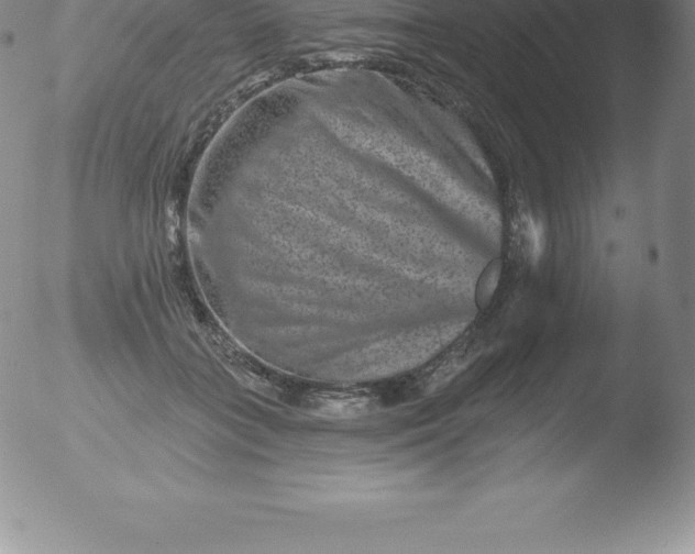 X0000051890555200507081941