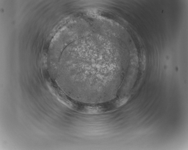 X0000051890556200507081941