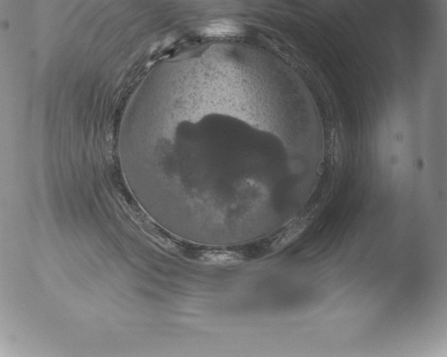 X0000051890557200507081941