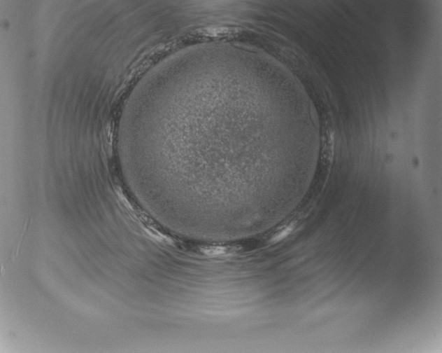 X0000051890558200507081941