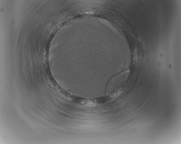 X0000051890559200507081941