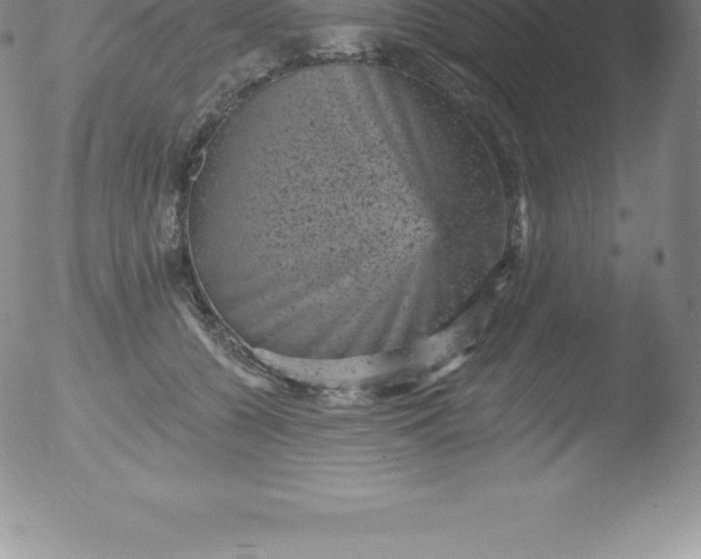 X0000051890560200507081941