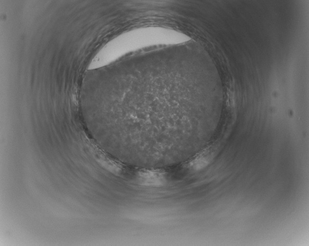 X0000051890561200507081941