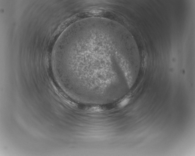 X0000051890562200507081941